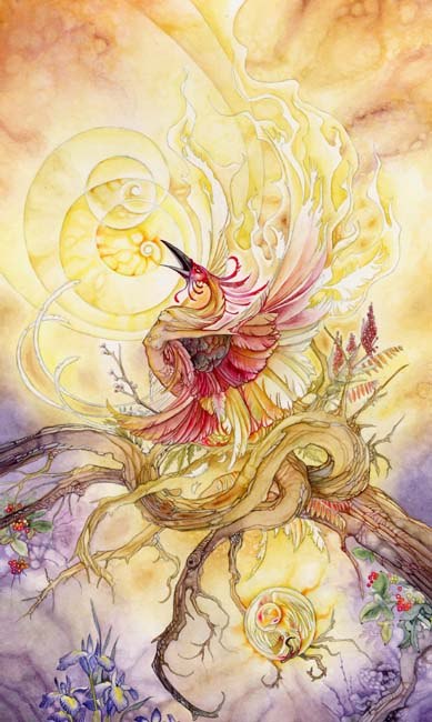 Таро Мыса Теней (Tarot Shadowscapes)