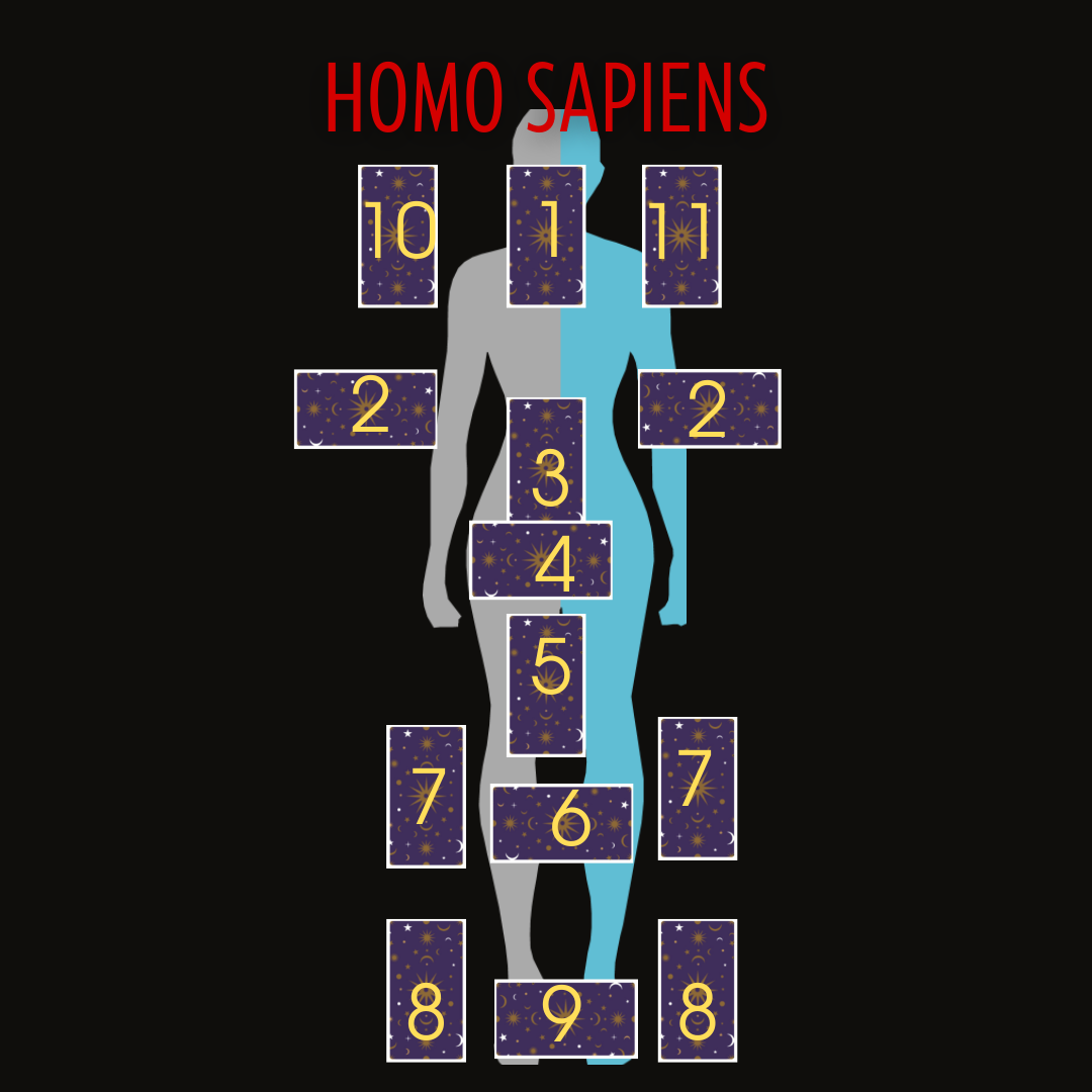 Расклад таро Homo Sapiens
